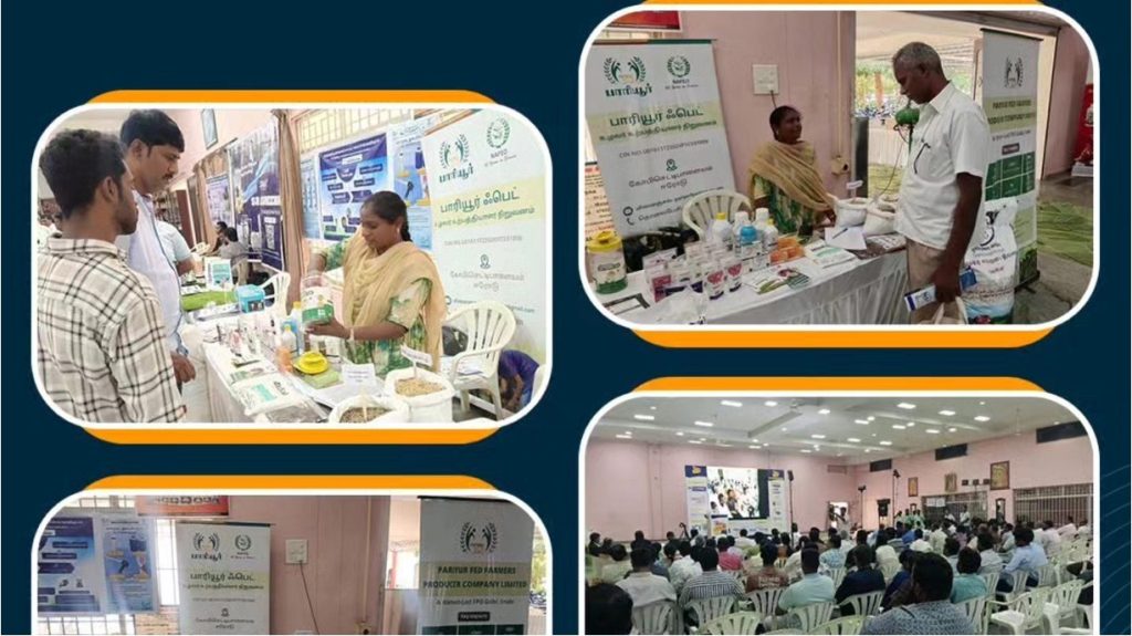 nafed backed fpo shines dairynews7x7