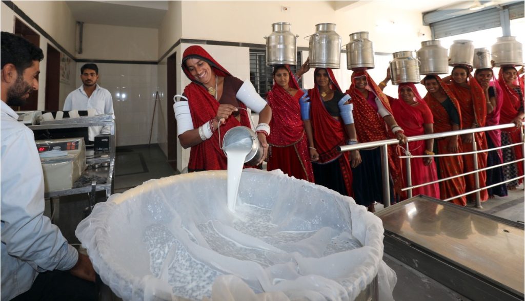 sumul inc raw milk price dairynews7x7