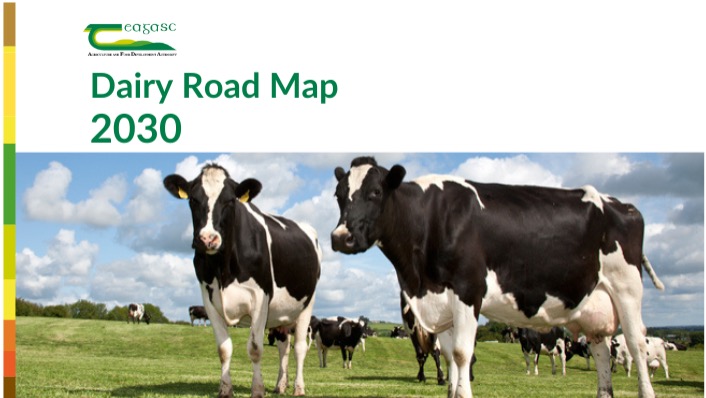 Teagasc Launches Dairy Road Map 2030 to Drive Sustainability & Resilience