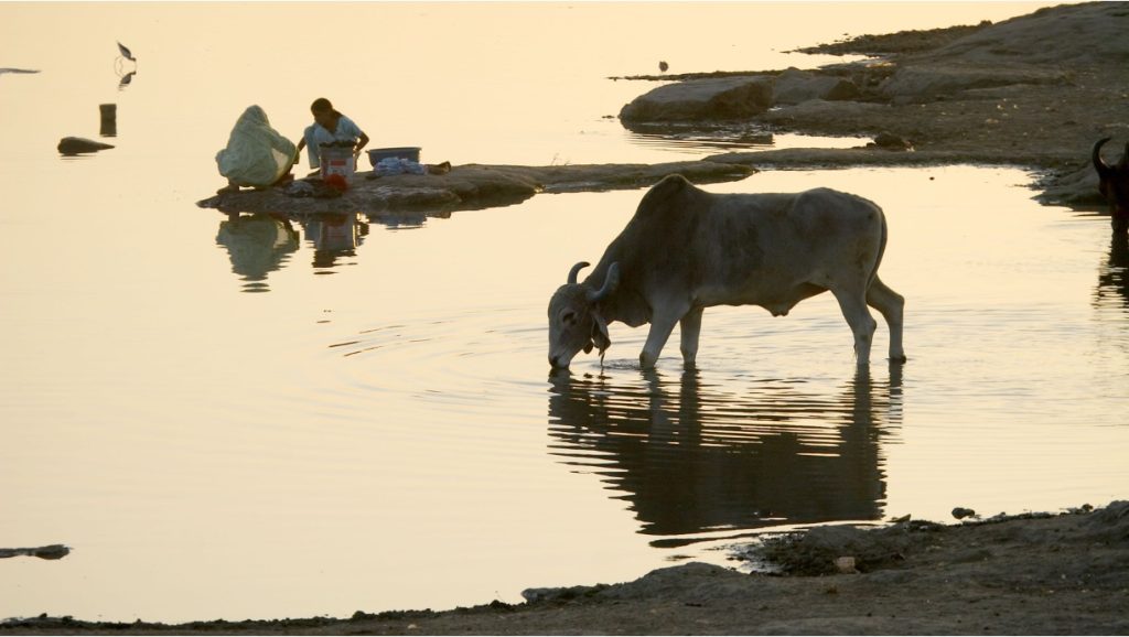 dairy farmers income not enough dairynews7x7