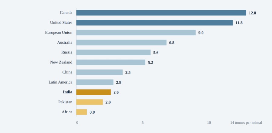 milk yield per cow dairynews7x7