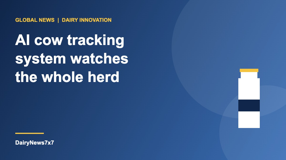 AI cow tracking system using barn cameras to monitor dairy cow behaviour without wearable sensors